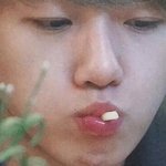 [EXO] 외 내글에 댓안달아줌?