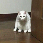 다<b>들</b> <b>왜</b>이렇게 아이돌 못까서 안달이야?