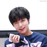 [박지훈] 박지훈 사랑해❤