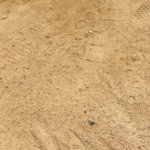 [댓글부탁해] <b>하복</b>치마 사이즈 65 인데 어때