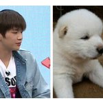 [강다니엘] 강다니엘 오늘도 갑<b>분사</b>