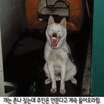 생리냄새 안 나는 법 좀 ㅠㅠ