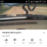 [드루와] 다큐멘터리에서도 언급되는 김치녀