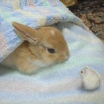 스푼라디오 보는 사람 있어???