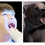 [강다니엘] 다니엘 갑<b>분사</b> New!