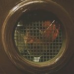 [댓글부탁해] 단체 <b>컨셉</b>복