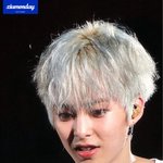 시우민한테 왜<b>구래</b>
