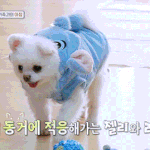 [댓글부탁해] 나오늘 알바하다가 울었음