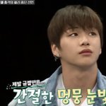 [<b>매콤</b>이액게] 강다니엘이랑 이승재닮지않음?