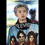 [EXO] 저 엑소 팬분들 진짜 궁금해서 그러는데요..