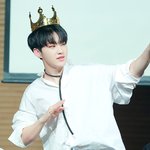 [세븐틴] 얘들아 네입오캣읕으 댓글에