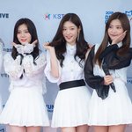 [댓글부탁해] 어제자 드콘 레드카펫 레전드 찍은 걸그룹