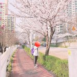 [사진ㅇ] 나 계절별로 사진 찍는당