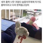 [댓글부탁해] 여드름이랑 여드름<b>흉터</b> 차이가