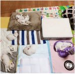[<b>명랑</b>엽떡] 급수기를 침대로 착각한 댕댕이
