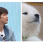 [강다니엘] 강다니엘 갑<b>분사</b>