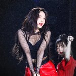 [개빡침주의] 판은 조이 까글 하루에 하나라도 안 쓰면 정병걸리는...