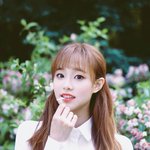 <b>알자</b>나ㅜㅜ 나 서열 1위 지우밍ㅜㅜㅜ