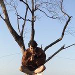 [방탄소년단] ㅋㅋㅋ박지민 공중<b>부양</b>