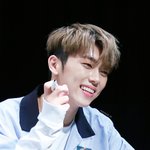 [드루와] 2년간 길고양이 밥챙겨준 아이돌