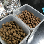 [개깊은빡침] +추가글) 시어머니 때문에 애가 개<b>사료</b> 먹었네요