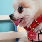 [댓글부탁해] <b>클럽</b> 안 <b>여자</b>들을 안을거야