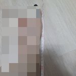 [방탈죄송] 이게 정사이즈인가요?