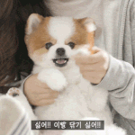 [댓글부탁해] 나 학교에서...