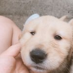 ㅅㅂ도와죠 ㅠ
