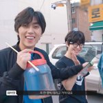 망원동 고양이 밥 책임지고 있는 아이돌