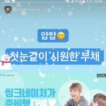 [강다니엘] 정보)씽크네이처 강다니엘 <b>부채</b> 행사