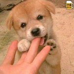 [ㅈㄱㄴ] 판 보면 쌍수 잘된애들 많잖아 근데