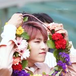 [박우진] 이거 진심 댕댕이같지 않오?