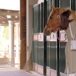 정려원 <b>조녜</b>