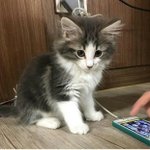 [드루와] 엑<b>방원</b>의 탄이들 (귀여움주의)