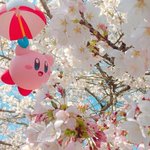 앞머리없는 애들아 <b>머리묶</b>을때