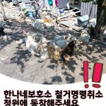 한나네보호소 철거를 막아주세요!!!