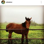[세훈] 180517 훈스타<b>그램</b>2