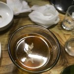 [꼭봐주세요] 카스맥주 <b>번창</b>하세요(혐오스러운사진 첨부)