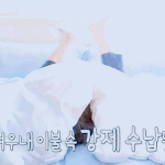 야 오늘 이불밖에 고양이 나온다는데??