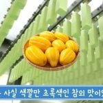[19] 양<b>예원</b> 글 그만 써라;