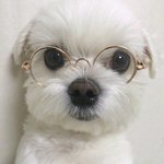 [댓글부탁해] 나 복합성인데 더페 <b>잉크</b>래스팅인가 그거 괜첞?