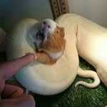 [댓글부탁해] 게임앱 지우면 동영상 <b>용량</b>늘어나냐