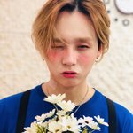 [댓글부탁해] 얘들아 ㅠㅠㅠ <b>코에</b> 블랙헤드 어떻게없애