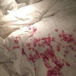 <b>예원님</b> 글 다 내려갔네??