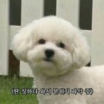 [EXO] 컴백까지 시간 <b>순삭</b>이다