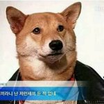 [조언부탁해] 내가 이기적인 건가