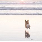 [남자의심리] 남자들이 이 <b>행동</b>하는 이유가 뭐야???