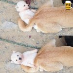 [ㅈㄱㄴ] 요즘 애들 자꾸 문장<b>부호</b> 띄어쓰는데ㅋㅋ