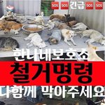 대구에 가장 큰 유기견보호소가 <b>폐지</b>될 위기에요. 꼭 좀 도와주세요